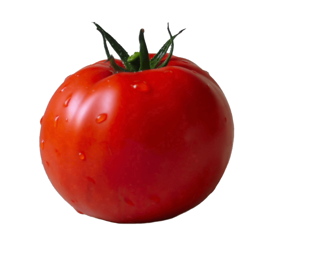Øko tomater