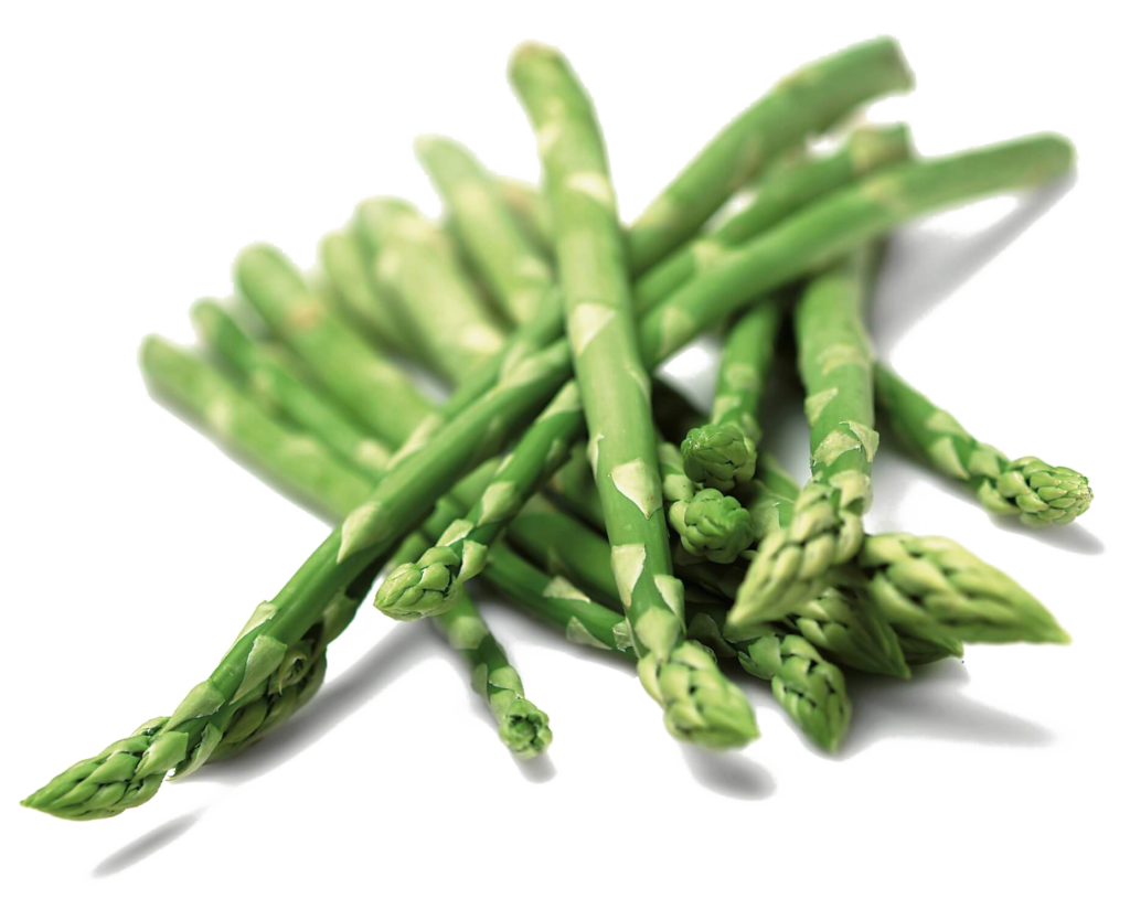 Øko asparges