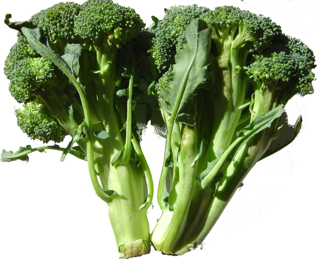 Øko broccoli